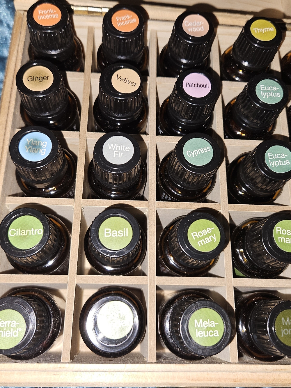 Essential Oil Storage Box with Labeled Amber Bottles (Green, Black)